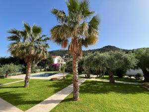 a resort with palm trees and a swimming pool at Villa Carla in Cefalù