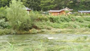 Un paisaje natural cerca de la casa de huéspedes