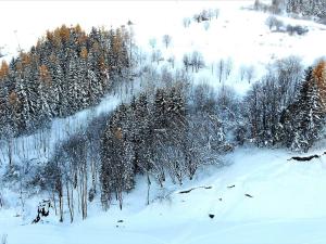 Charmant Studio Rénové 5 Pers, Balcon Sud, Skis aux Pieds, Piscine Chauffée, Près Commerces et ESF - FR-1-267-192 v zime
