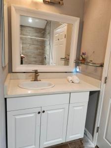 a bathroom with a sink and a mirror at la casa del bosque in Bradenton +10 photos