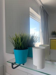 奥尔本尼兹Wasserhaus Yellow submarine的相册照片