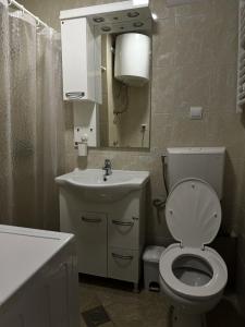 Koupelna v ubytování L&B studio apartment