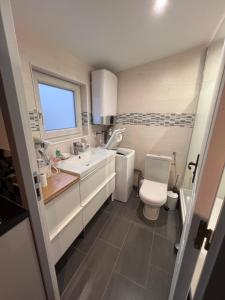 a bathroom with a toilet and a sink and a window at La cabane in Maisons-Alfort