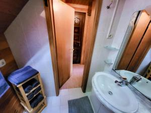 a bathroom with a sink and a mirror and a shower at Hillside Cottage in Bled