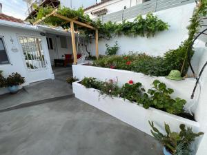 a garden on the side of a house with plants at Tsanis Guest House in Skiathos
