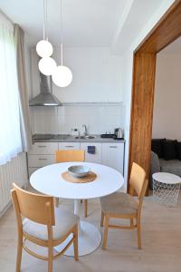 Kuchyň nebo kuchyňský kout v ubytování Guest House 7