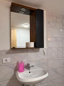 a bathroom with a sink and a mirror at Visit Plav in Plav