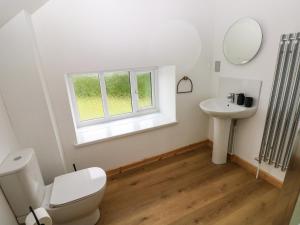 ein Badezimmer mit Toilette und Waschbecken und einem Fenster in der Unterkunft Folly Cottage in Narberth + 31 Fotos