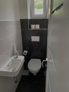 a bathroom with a white toilet and a sink at U Fera in Stará Bystrica