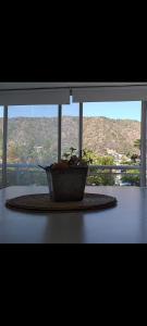 a potted plant sitting on a table in front of a window at Carilo in Villa Carlos Paz