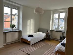 Un dormitorio con una cama y dos ventanas. en Ferienhaus mit gemütlichen Freisitz für bis zu 10Personen, en Lörrach