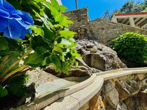 Billede fra billedgalleriet på Holibai, Vila Natercia, Horizontes de Galicia, Casa de Piedra y Mar, Baiona i Baiona