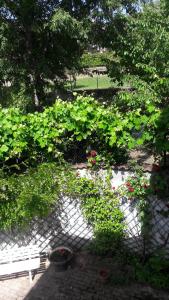 ein Park mit einer Bank und Pflanzen und Blumen in der Unterkunft La gazza allegra in Querciola