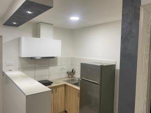 a kitchen with a refrigerator and a sink at Djukic apartman in Šabac