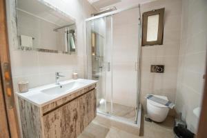 a bathroom with a sink and a shower and a toilet at Panorama in Elafonisi