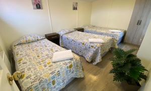 Voodi või voodid majutusasutuse Hostal Del Tuto toas