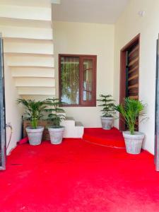 Rāja SānsiThe Venetian 2bhk Entire Homestay的相册照片