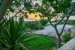 a view from the garden of a river at sunset at Panorama in Elafonisi
