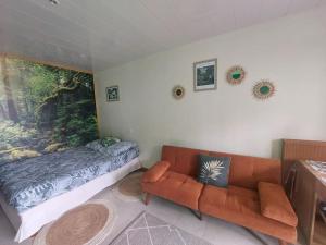 アヴァロンにあるAppartement thème jungleのソファとベッドのあるリビングルーム