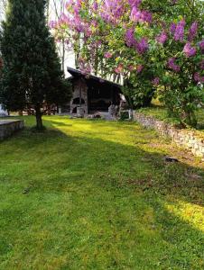 Zahrada ubytování Villa Ema