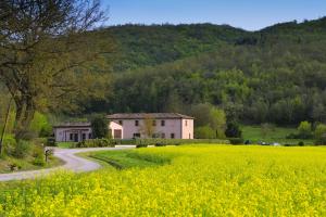 een huis midden in een veld met gele bloemen bij Agriturismo il Corniolo in Cenerente