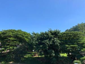 two trees in a field with a blue sky at Microcasa na cobertura in Santa Teresa