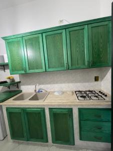 a kitchen with green cabinets and a sink at Appartamento a 10 metri dal mare, Porto Cesareo in Porto Cesareo