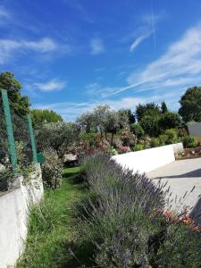 Κήπος έξω από το Sophie et Jamiel