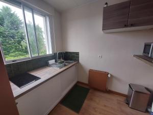 アヴァロンにあるAppartement thème jungleのキッチン(シンク付きカウンター、窓付) +2枚の写真