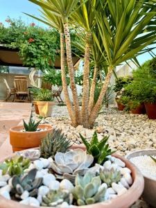 Zahrada ubytování LUX Apartments