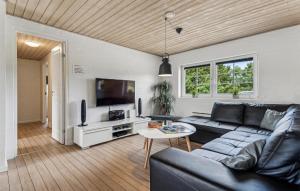 Televisyen dan/atau pusat hiburan di Awesome Home In Ulfborg With Sauna