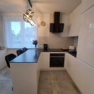 Kuchyň nebo kuchyňský kout v ubytování Apartament Gotowizna