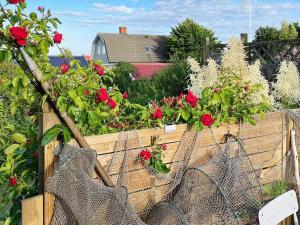 A garden outside 4 person holiday home in SÖLVESBORG-By Traum