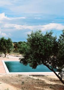 Swimmingpoolen hos eller tæt på Luxury mobile home INES