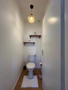 a bathroom with a toilet and a light at Le petit Larros in Gujan-Mestras