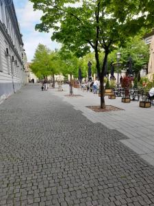Fotografie z fotogalerie ubytování Magistar v destinaci Zemun