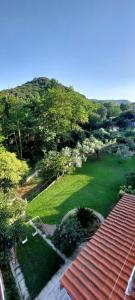 a view of a green yard with a hill at Exohi apartments in Nea Vrasna