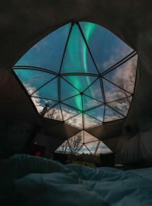 Foto Tromsøs asuva majutusasutuse Aera - Glass cabins galeriist