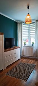 Μια τηλεόραση ή/και κέντρο ψυχαγωγίας στο Apartament Cisza
