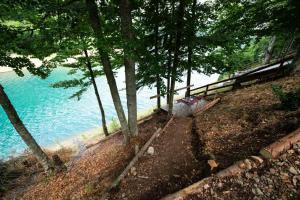 Gallery image of Vikendica Breza in Zaovine +24 photos