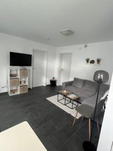 TV a/nebo společenská místnost v ubytování Ferienwohnung Klettgau-Erzingen