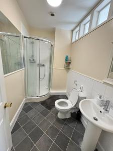 a bathroom with a shower and a toilet and a sink at Shine Lodge in Kent +19 photos