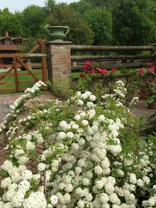 A garden outside B&B Il Quadrifoglio