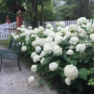 A garden outside B&B Il Quadrifoglio