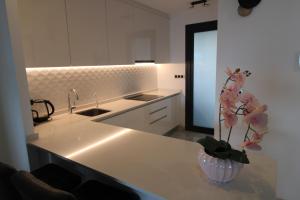 Η κουζίνα ή μικρή κουζίνα στο SUNSET WAVES The View