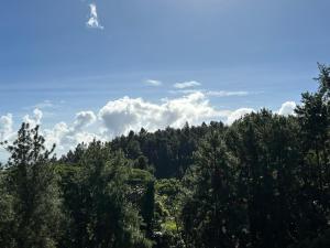 度假屋周边自然景观