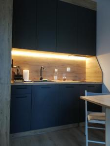 ブィドゴシュチュにあるApartamenty Jaskółczaのキッチン(ダークブルーのキャビネット、シンク付)