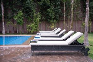 a row of white lounge chairs next to a pool at Blumen Villa in Marrakesh