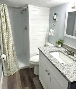 a bathroom with a toilet and a sink and a shower at Cocoa Beach Bungalow, Dream House & Vacation Paradise! in Merritt Island +16 photos