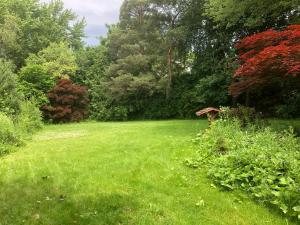 Gallery image of Private modern basement in Aurora +27 photos